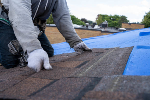 Quick and Trustworthy Emergency Roof Repair Services in Flat Rock, NC