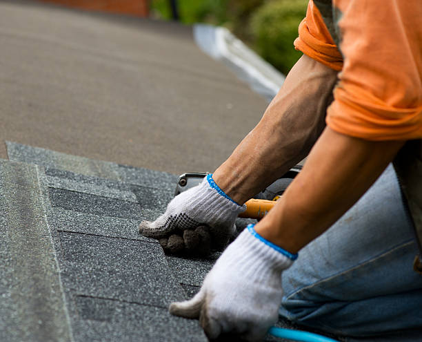 Best New Roof Installation  in Flat Rock, NC