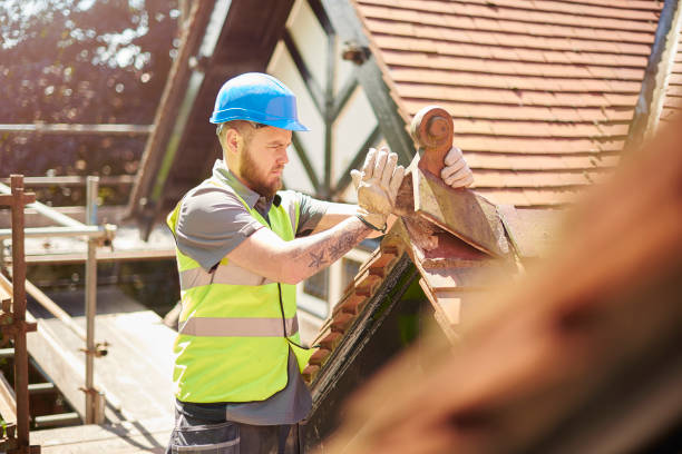 Best Roof Leak Repair  in Flat Rock, NC